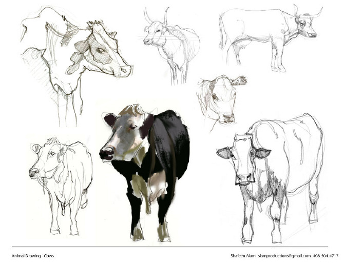 Six pencil studies of cows from multiple angles, with one rendered in black and white paint