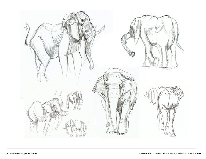 Five pencil studies of elephants including a front-on view and two small thumbnails